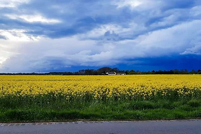 6 persone case ad Græsted-By Traum