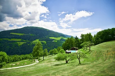 Appartamenti Grafhube, Afritz-Verditz