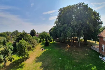 Nella regione (estate) (>5 km) Nella regione (estate) (>5 km)