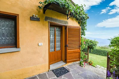Großzügiges Ferienhaus in Cortona mit private...