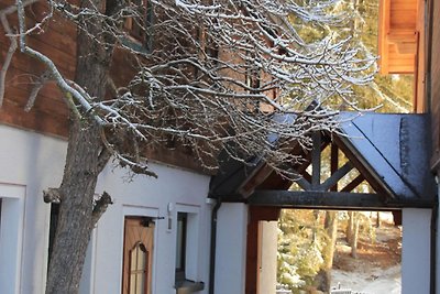 Chalet in Mariapfarr vlakbij skigebied