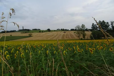 Ecolodge in Frankreich mit Waldidylle