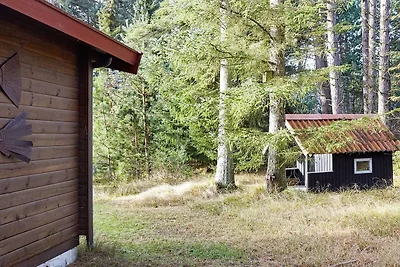 4 Personen Ferienhaus in Store Fuglede-By...