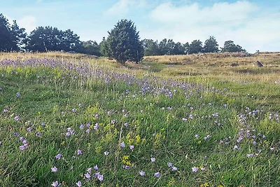 4 Personen Ferienhaus in KYRKESUND-By Traum