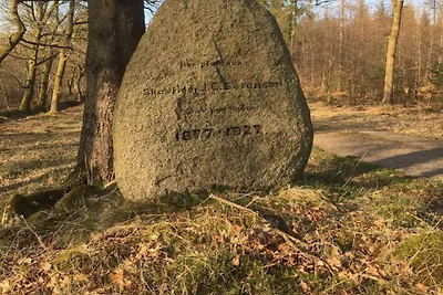 4 persoons vakantie huis in Hovborg-By Traum