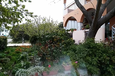 Apartments Vanja Škara Biograd - Studio Apart...