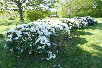 La casa di campagna di Carola Confortevole re...