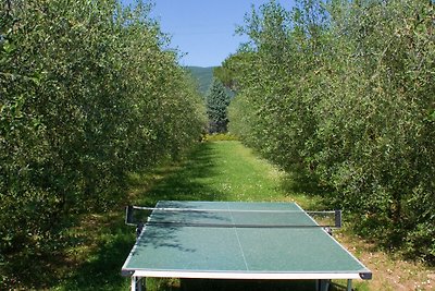 Casa vacanze a Cortona con piscina