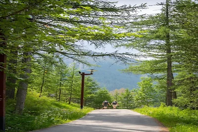 Residenz Le Balcon Des Airelles