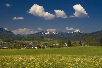 Bäckeralm en la casa de huéspedes Fegg