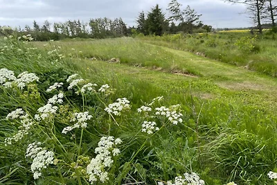 6 persoons vakantie huis in Pandrup-By Traum