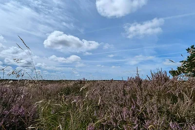 Rifugio tranquillo a Bolilmark-By Traum