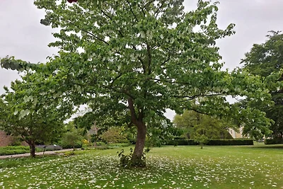 Charmantes Refugium auf Eno -- By Traum...