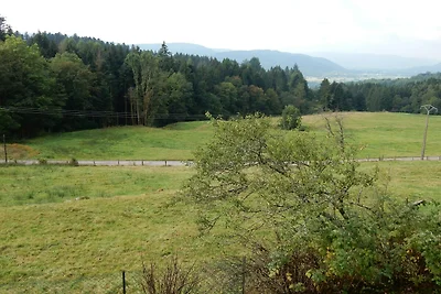 Holiday Home Vagney near Ski Gérardmer
