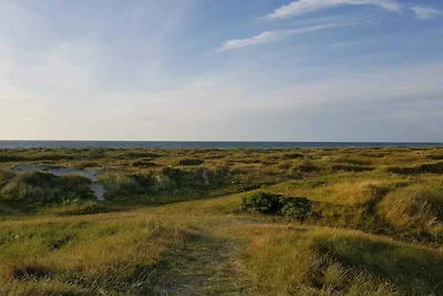 Oasi vicino alla spiaggia a Grena -- By Traum...