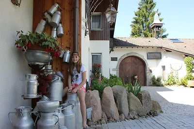 Gemütliches Chalet mit Geschirrspüler in den...