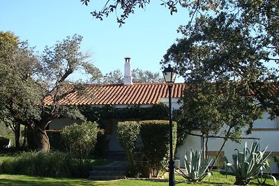 Modernes Ferienhaus mit Pool