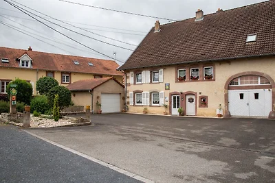 Schönes Haus in Niderviller bei Saint Croix