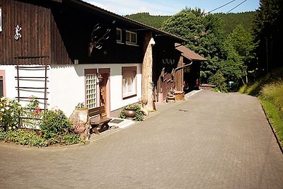 Schicke Wohnung in Bruchhausen mit Terrasse