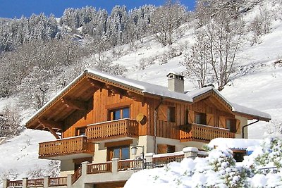 Gezellig chalet vlakbij het skigebied