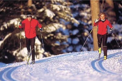 Wohnung in Obertraun nahe Dachstein Skigebiet