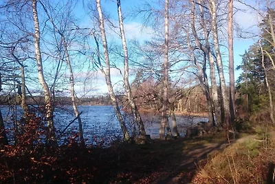 4 person holiday home in Holmsjö-By Traum