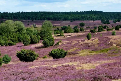 Holzchalet in der Nähe von De Veluwe