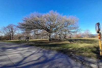 4 Sterne Ferienhaus in ARILD-By Traum