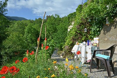 Meravigliosa villa con giardino