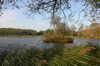 Ferienhaus Am Küstenwald