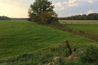 Schöne Villa mit Sauna in Friesland