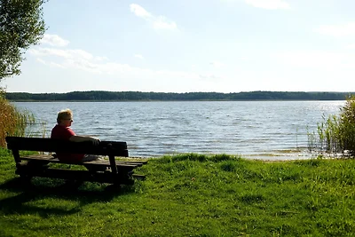 Vakantiehuis in Selchow met een geweldige...