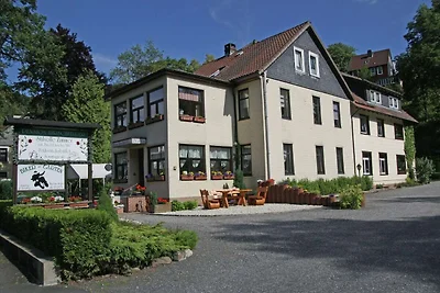 Gemütliche Ferienwohnung im Harz