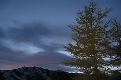 Alpenstern Fewo Rastkogel