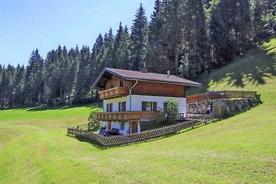 Holiday home Kleinwiesen, Wald im Pinzgau