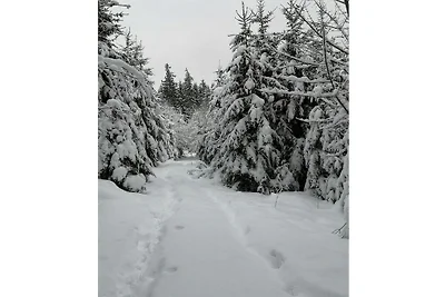 Haldenhäusle  Schwarzwald