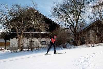Rustikales Ferienhaus in Skigebietsnähe in Vi...
