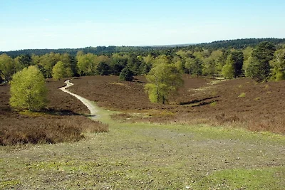 Am Waldrand / Hehling