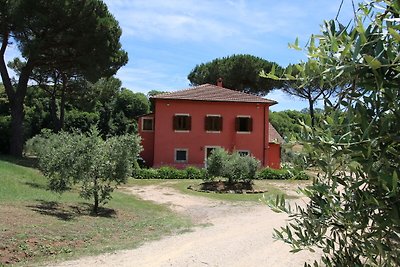 Moderne Villa in Manziana mit Schwimmbad