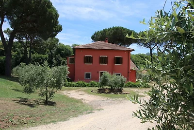 Villa moderna a Manziana con piscina