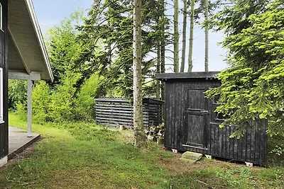 12 persoons vakantie huis in Hals-By Traum