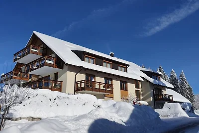 Ferienhaus Erholungsurlaub Titisee-Neustadt