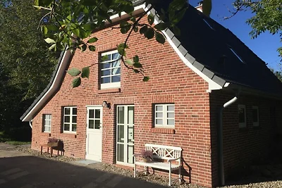 Leuk vakantiehuis met tuin