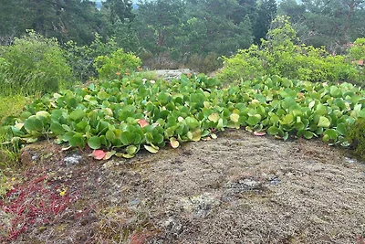 5 Personen Ferienhaus in VÄRMDÖ