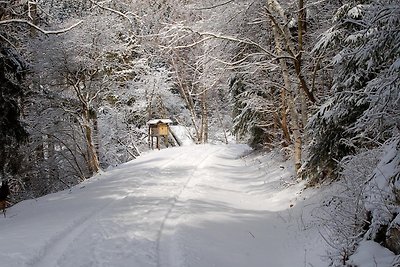 Doppelhaushälfte in Hasselfelde-ehem. TUI