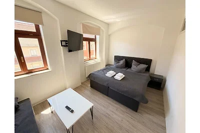 Moderne Ferienwohnung mit Balkon in Pirna