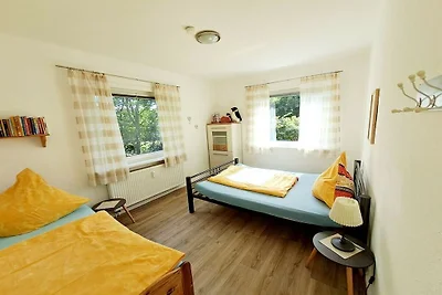 Buchfink im Haus Tanneneck