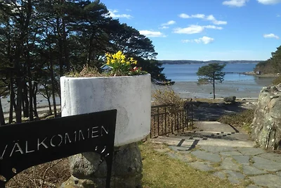 Ferienhaus, 250m vom Meer