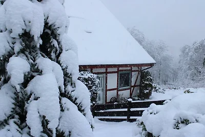Ferienhaus Harz mit Herz 3
