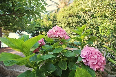 Apartment Kim- Two Bedroom Apartment with Ter...